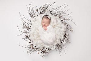 sarasota-newborn-photographer.jpg