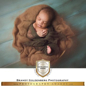 Brandy-Goldenberg-Photography